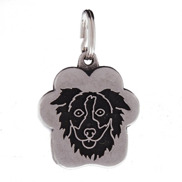 Cloud Stor - 4 linier Border Collie