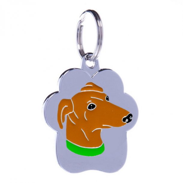 Rainbow Sandfarvet Stor - 4 linier Greyhound Korthret