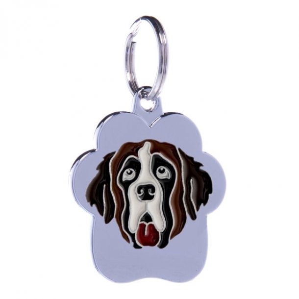 Rainbow Brun Stor - 4 linier Saint Bernard