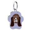 Brun,Stor - 4 linier,Basset Hound