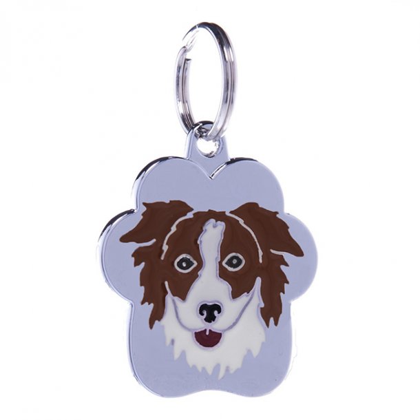 Rainbow Brun/Hvid Stor - 4 linier Border Collie