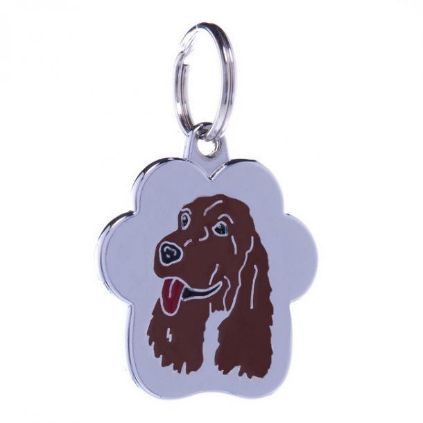 Rainbow Brun Stor - 4 linier Cocker Spaniel