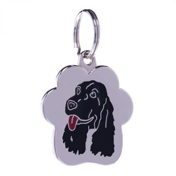 Rainbow Sort Stor - 4 linier Cocker Spaniel