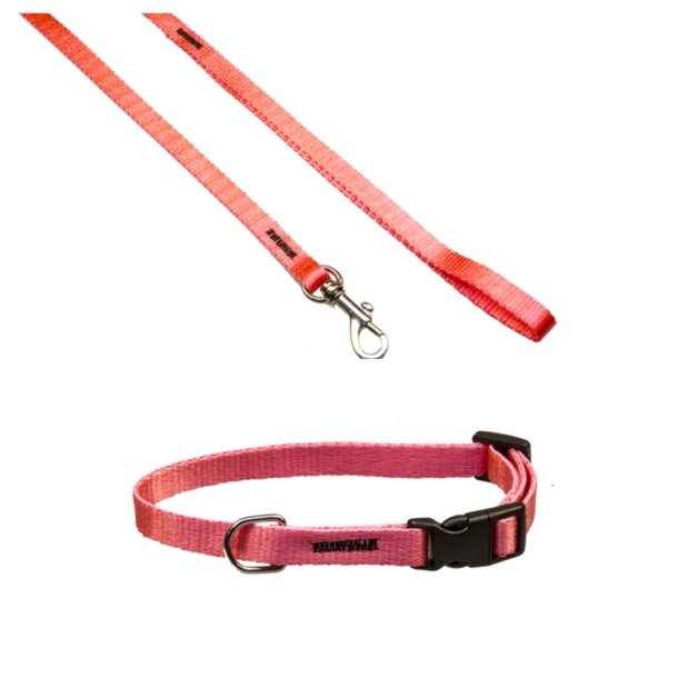 Halsbnd+Line til sm hunde/hvalpe Pink Nylon