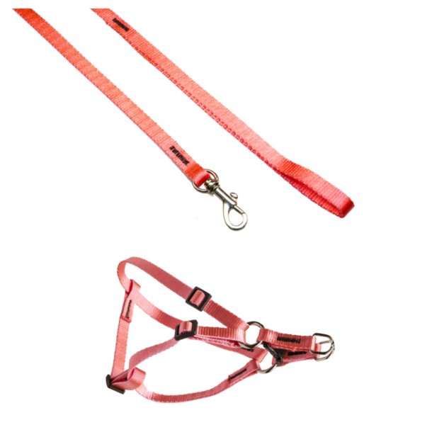 Sele+Line til sm hunde/hvalpe Pink Nylon